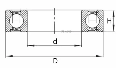 CW6005ZZ Bearing