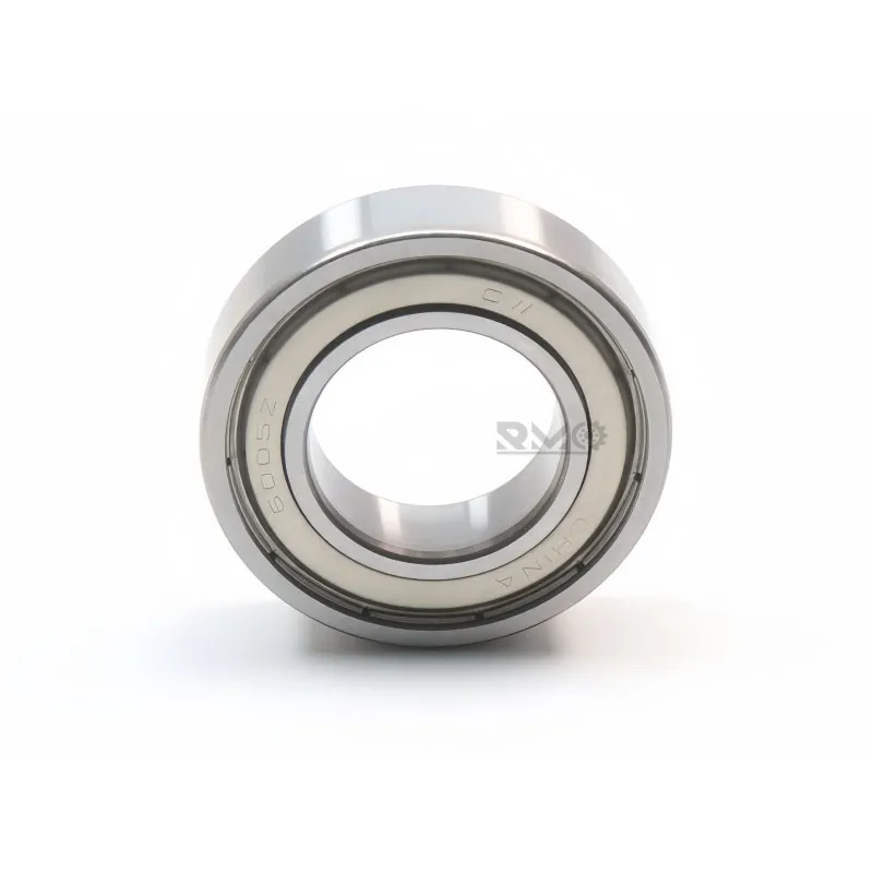CW6005ZZ bearing installed in an industrial electric motor