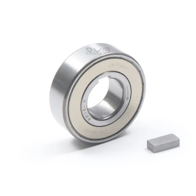 High-Torque 15mm Bore BB15-K One-Way Clutch Bearings for Printing Machinery Indexing